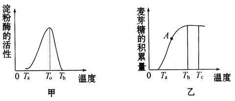 图甲表示温度对淀粉酶活性的影响;图乙表示将一定量的淀粉酶和足量的