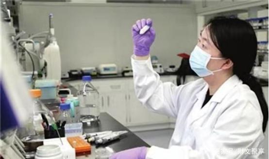 跨越式突破 我国 人造粮食 研发成功,有望解决粮食危机吗