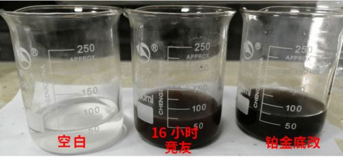南山 三剑客 调水方案,简单,高效,极致 养殖