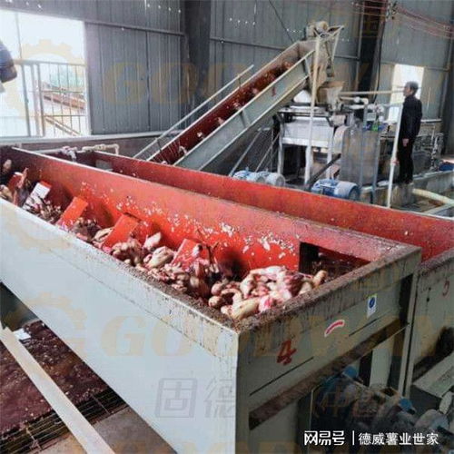开红薯淀粉厂这4点很重要 生产资源 设备动力供应 土建与施工