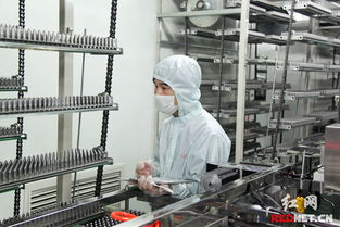 一公斤淀粉产一万粒胶囊 淀粉空囊获全球唯一食品许可