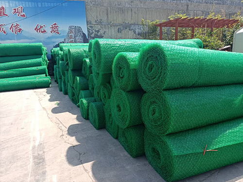 三维植被网 高速公路三维植被网 绿地新材料 诚信商家 高清图片 高清大图