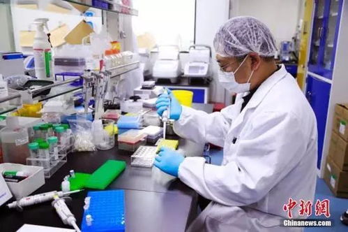 北京近7成大型食品生产企业恢复生产