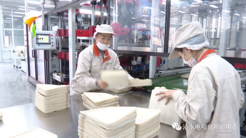快来看 玉米淀粉变餐盒啦