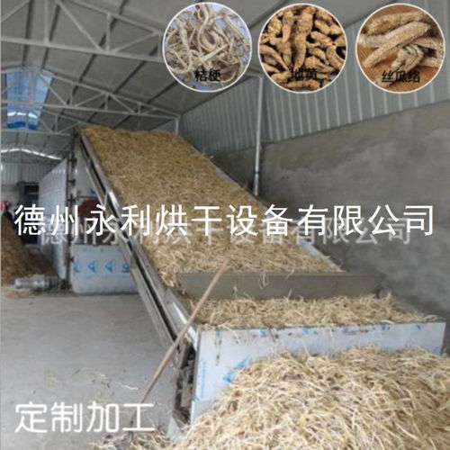 低价研发带式食品烘干机 橘皮干燥设备