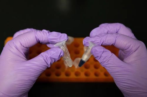 不需要绿色植物就能产生淀粉,真能吃吗 人工合成淀粉意义是啥
