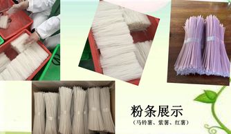 无明矾做不成粉条 的说法被打破,让市民吃上放心食品