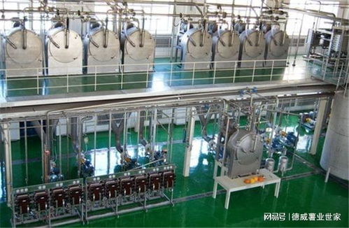 一家红薯淀粉加工老厂的升级改造,都从哪几点入手