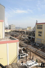 河北省抚宁县淀粉厂燃爆事故死亡人数增至19人