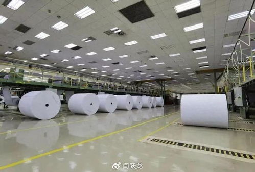 乘数字化东风,粤西产业集群 质变
