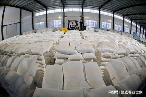 为什么专业淀粉厂都愿意用全自动淀粉加工设备 具有哪些优势