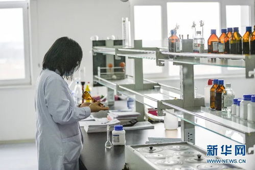 科技赋能饲料产业 淀粉及淀粉制品的创新研发