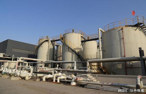 走在全国前列 硬核科技助力建设北方最大沥青超市淀粉及淀粉制品研发基地