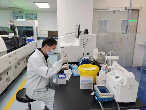 全球首款闵行企业研发的卵巢癌诊断产品迎来新突破，淀粉及淀粉制品研发成果显著