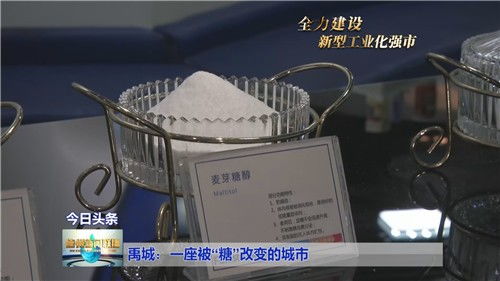 禹城 一座被糖改变的城市——淀粉及淀粉制品的研发之路